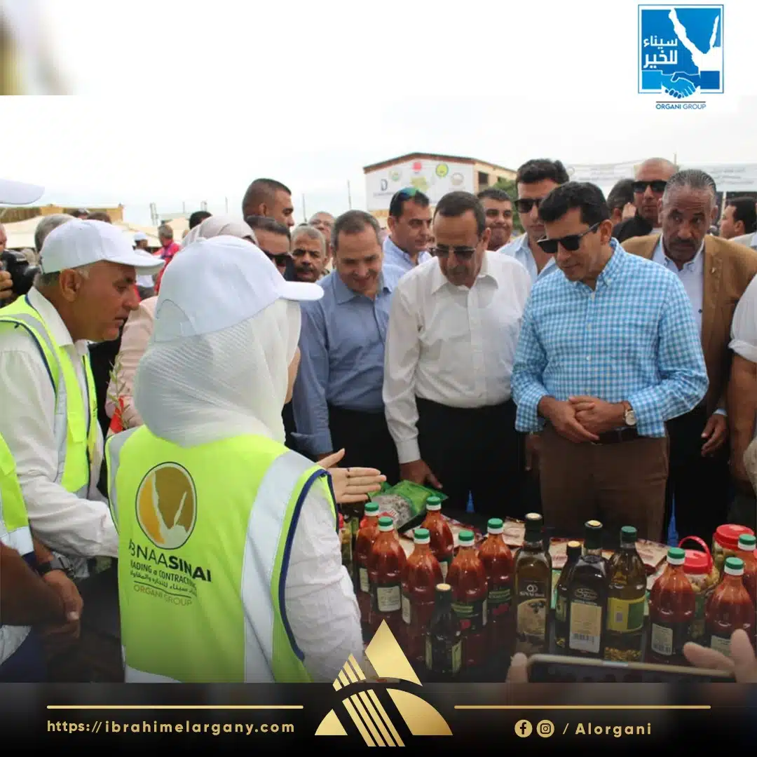 مهرجان سيناء الأول للزيتون