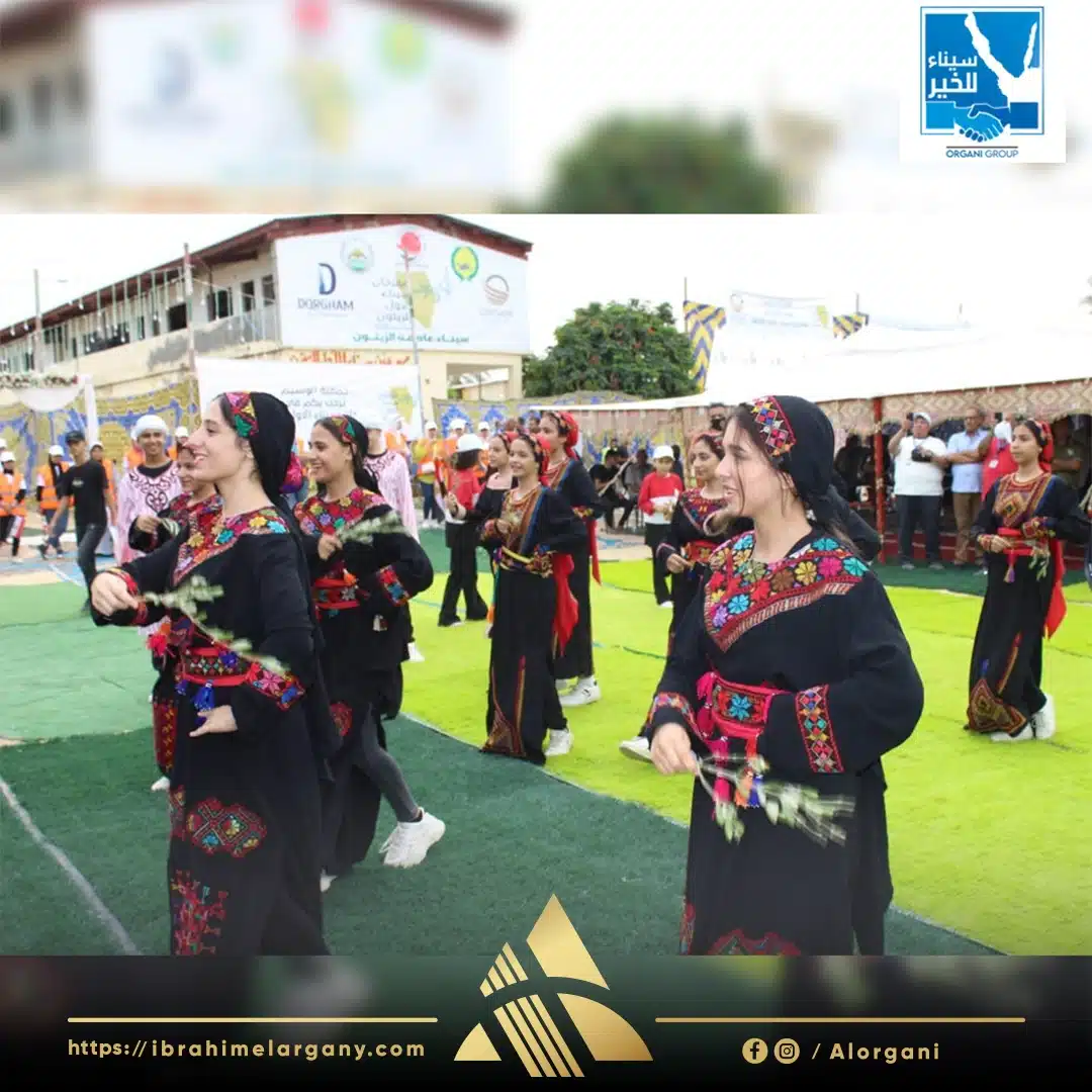مهرجان سيناء الأول للزيتون